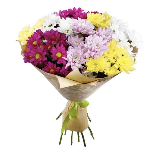 Mix chysanthemums