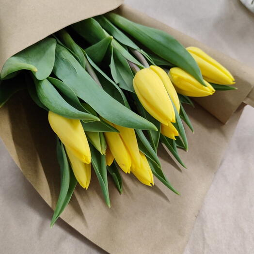 Kollased tulbid — 11 tk