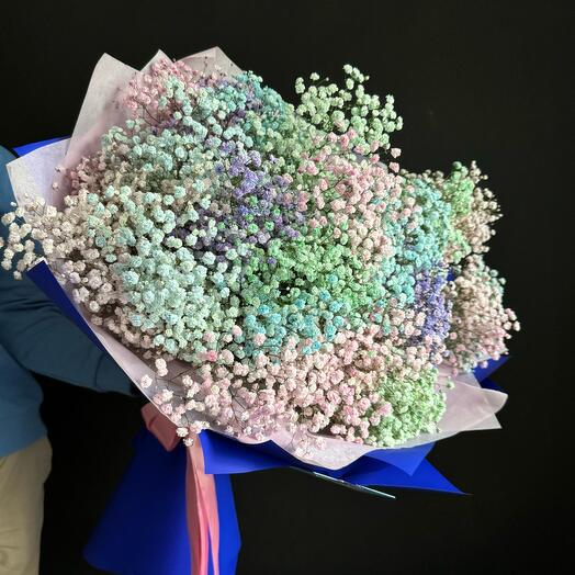 Grande Gypsophila Rainbow