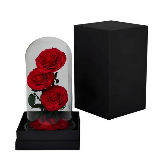 Preserved Roses in Glass Bell
