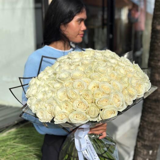 101 White Semiholand roses