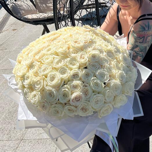 101 Playa blanca roses