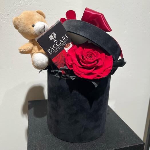 Rose, bear   chocolate gift box
