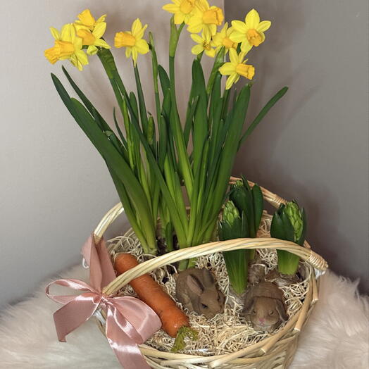 Spring Basket 🌼