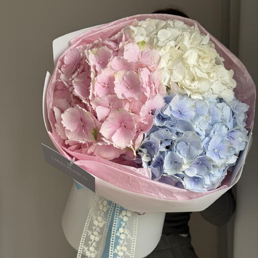 Mezcla de hortensias