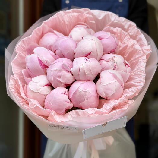 🌸 13 Pink Peonies