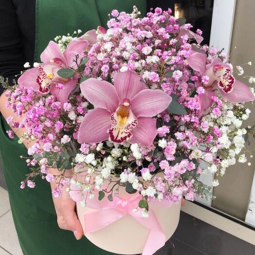 Cymbidium Çiçek Kutusu