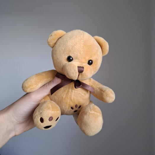 Teddy bear toy