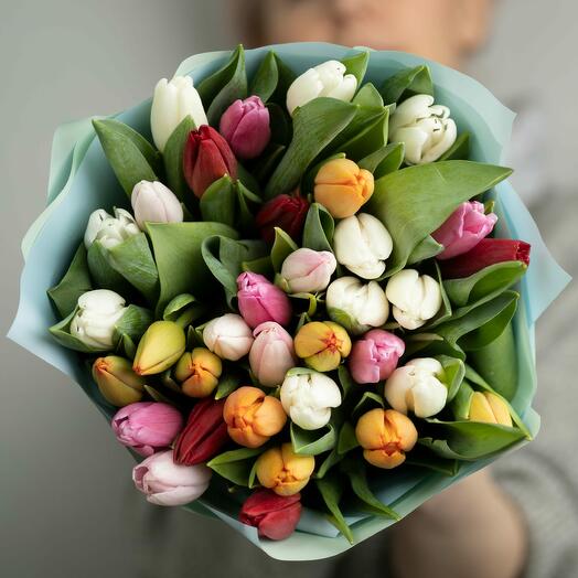 Tulips Mix