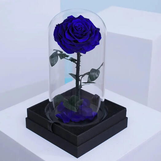 Blue Forever Rose