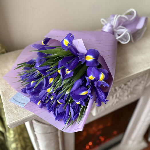 Iris of My Heart 💜