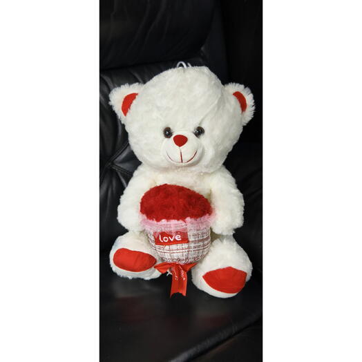 50 cm plush teddy bear, we only deliver with a bouquet