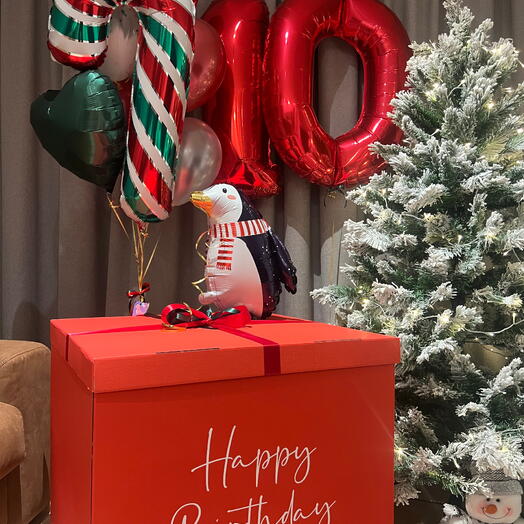 Birthday in Christmas Style