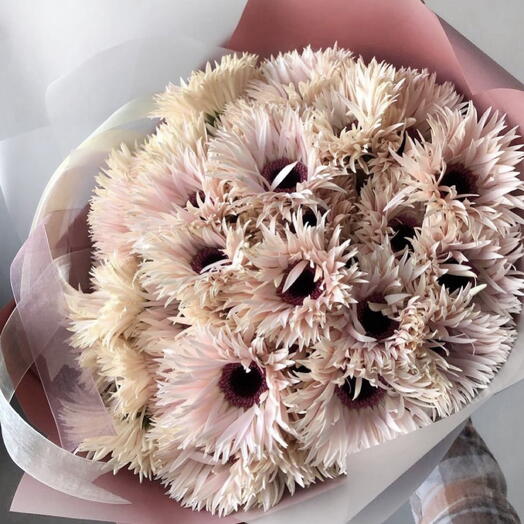 Gerbera bouquet "Fringe"