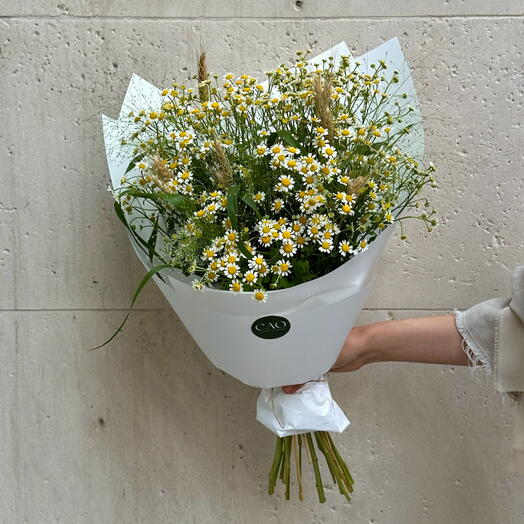 Camomile