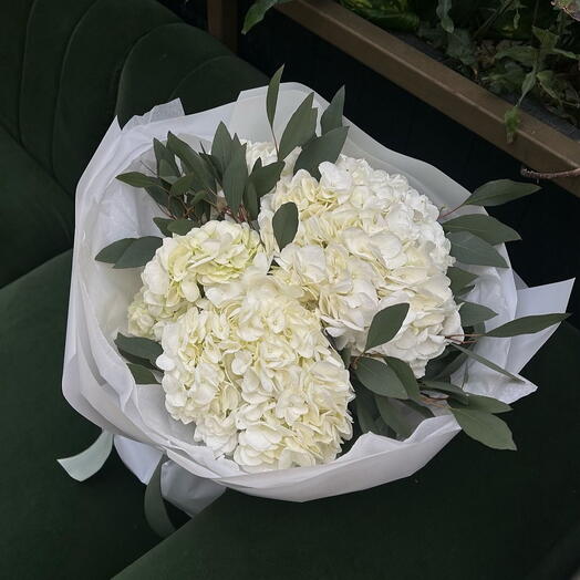 Bouquet of White Hydrangeas