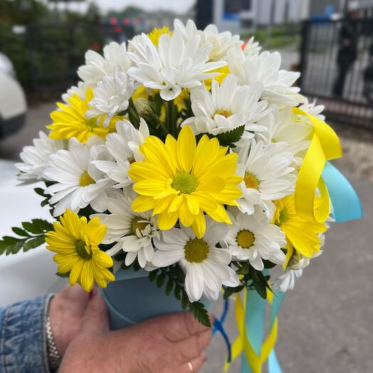 Box chryzantema mały