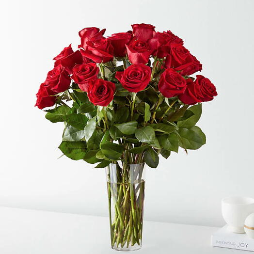 Long Stem Red Rose Bouquet (red roses + vase)