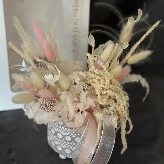 Song of the Grass🌾💞