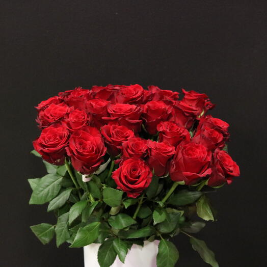 Ecuadorian roses "Explorer"