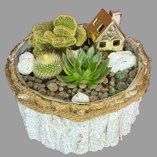 Composition of potted plants with a small house