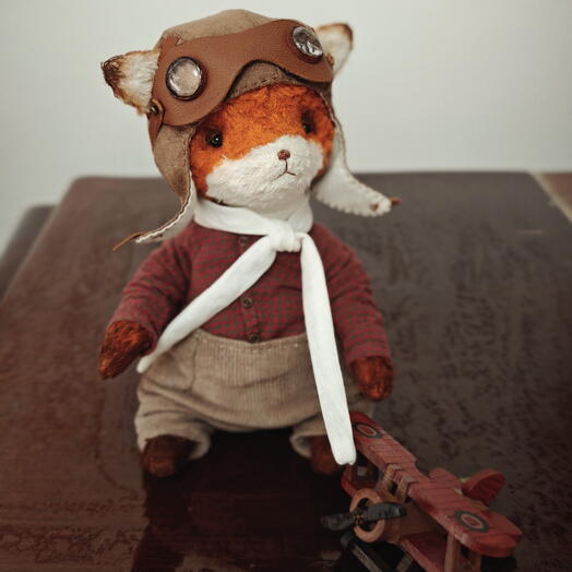 Teddy fox  aviator