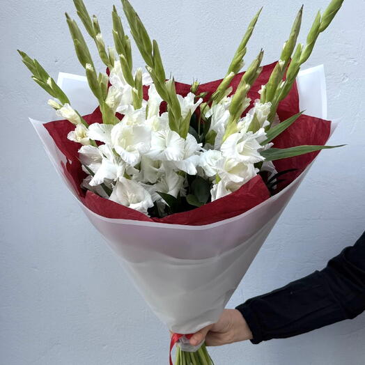 White Gladiolus Elegance