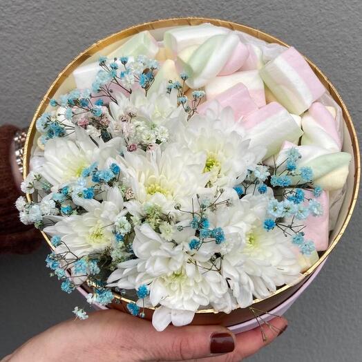 Karp ‘ Marchmelloy ‘