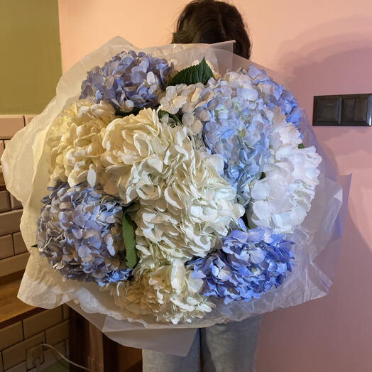 Hydrangea bouquet