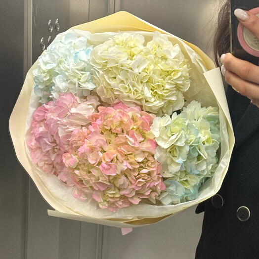 Bouquet of 5 hydrangeas