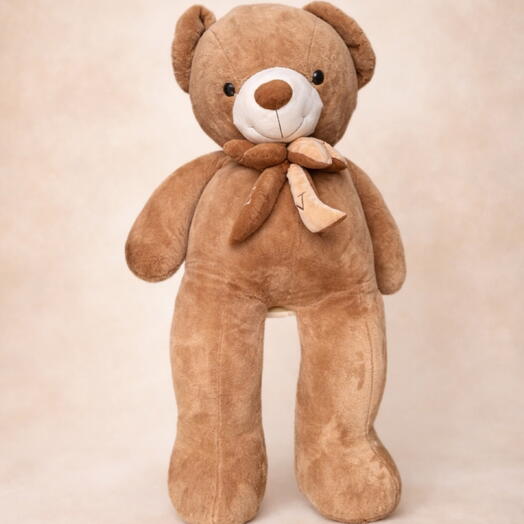 The Great Teddy Bear 🧸