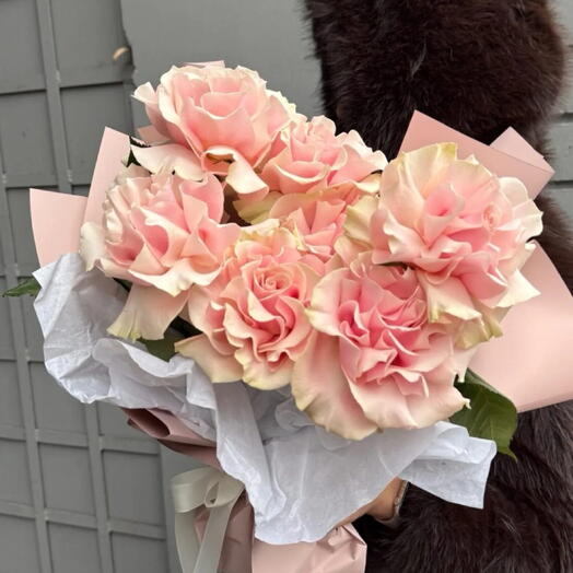 French Roses in Pink