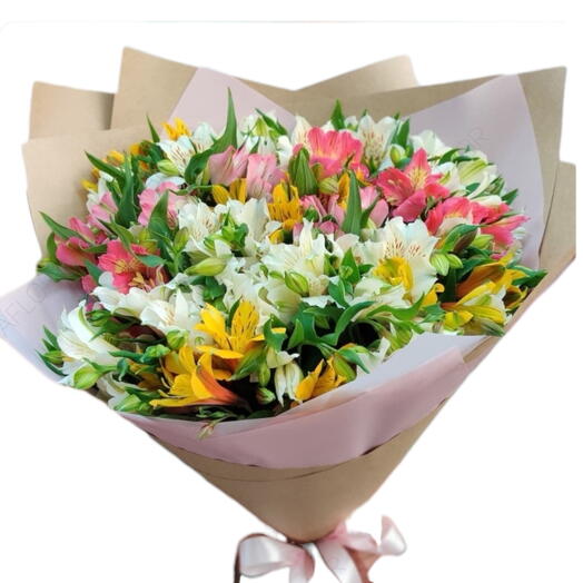 Mix  alstroemeria