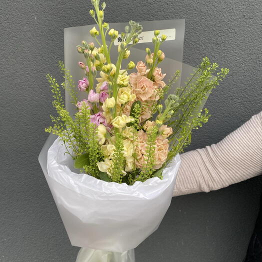 Bouquet of 5 mattiola