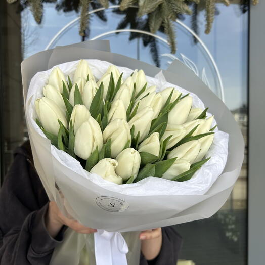 Tulipani dall'Olanda 🌷