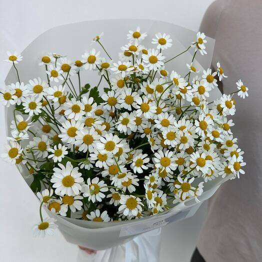 A bouquet of daisies