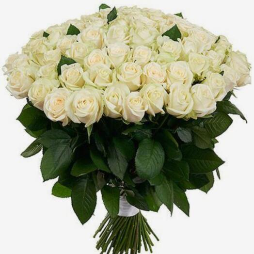 51 white equador roses (70 cm!)