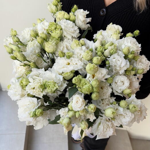 Моно букет белых эустом