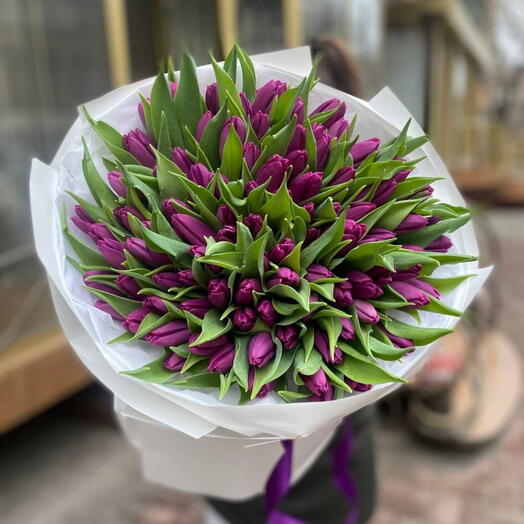 Purple Tulips 101