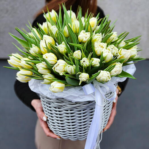 Graceful Tulip Garden 🌷