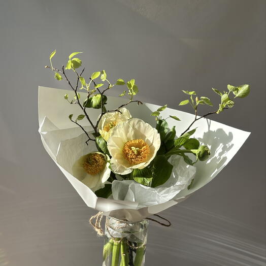 Peonie wschodzącego księżyca i gałązki lipy