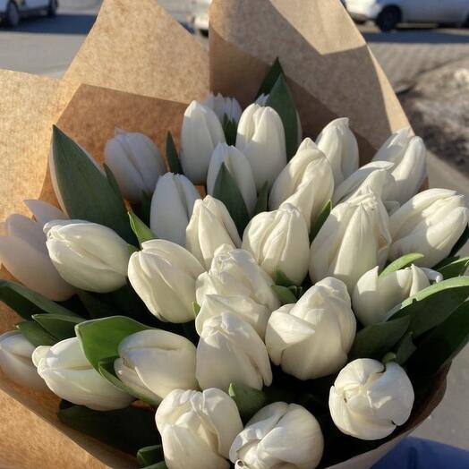 TULIPS WHITE