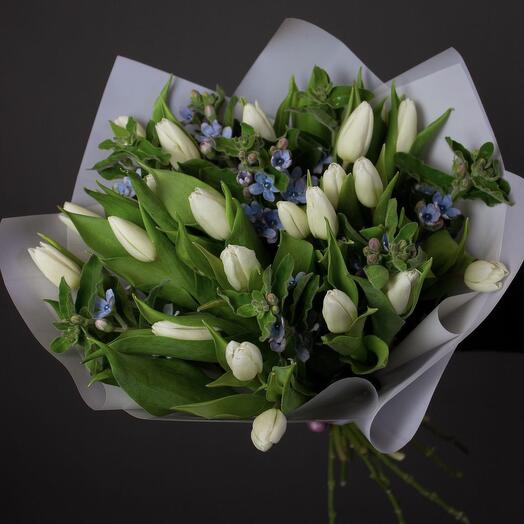 White tulips with tweedia