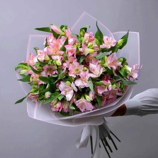 Alstromeria 27