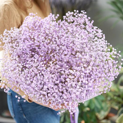 Bouquet "Pink gypsholina"