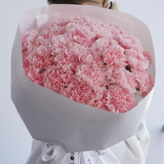 Pink Carnation