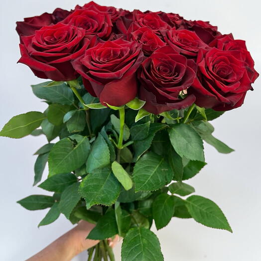 Equador 25 red roses