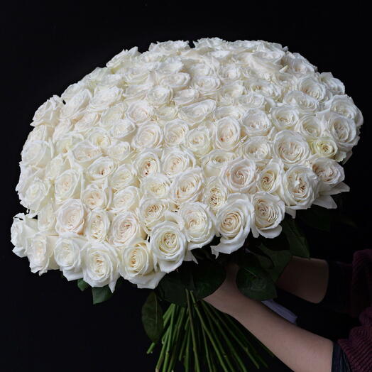 101 white roses
