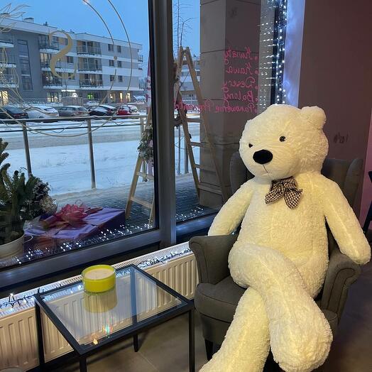 Big teddy bear