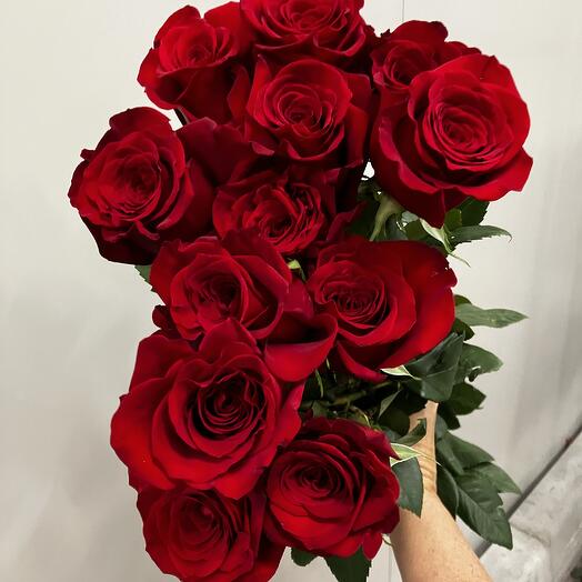 LONG STEM 9 stems LAST MINUTE